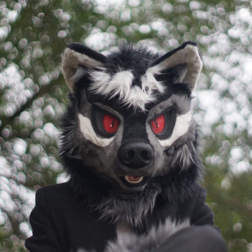 Raiden/Yuki (a friend) in fursuit