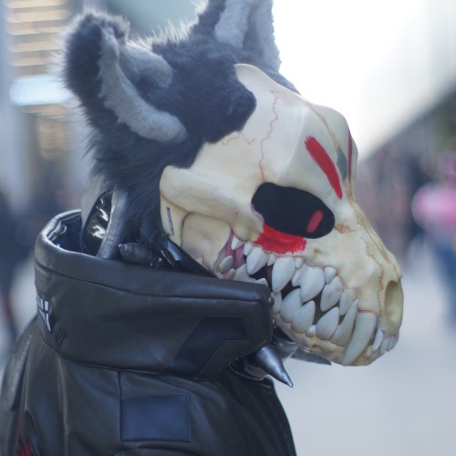 A fursuiter with skull head