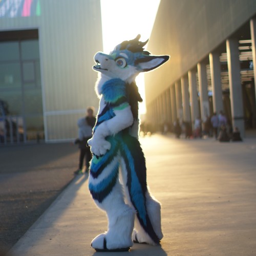 Triton (a friend) in front of the sun